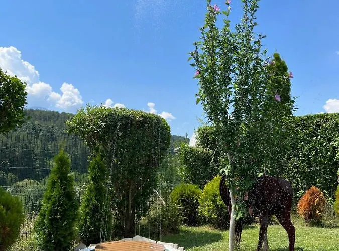 Alpehytte Katarino *